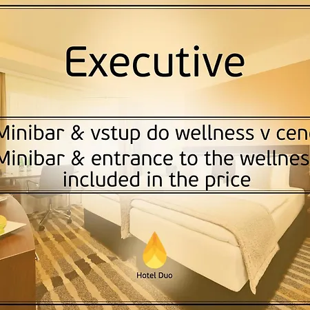 Duo & Wellness Hotel 4*