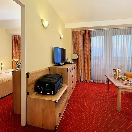 Duo & Wellness ホテル プラハ